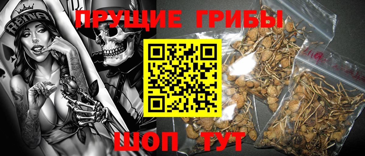 Галлюциногенные грибы Cubensis Кореновск