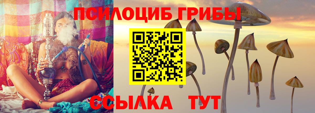 Кореновск  цены   Вход с VPN  Галлюциногенные грибы GOLDEN TEACHER 